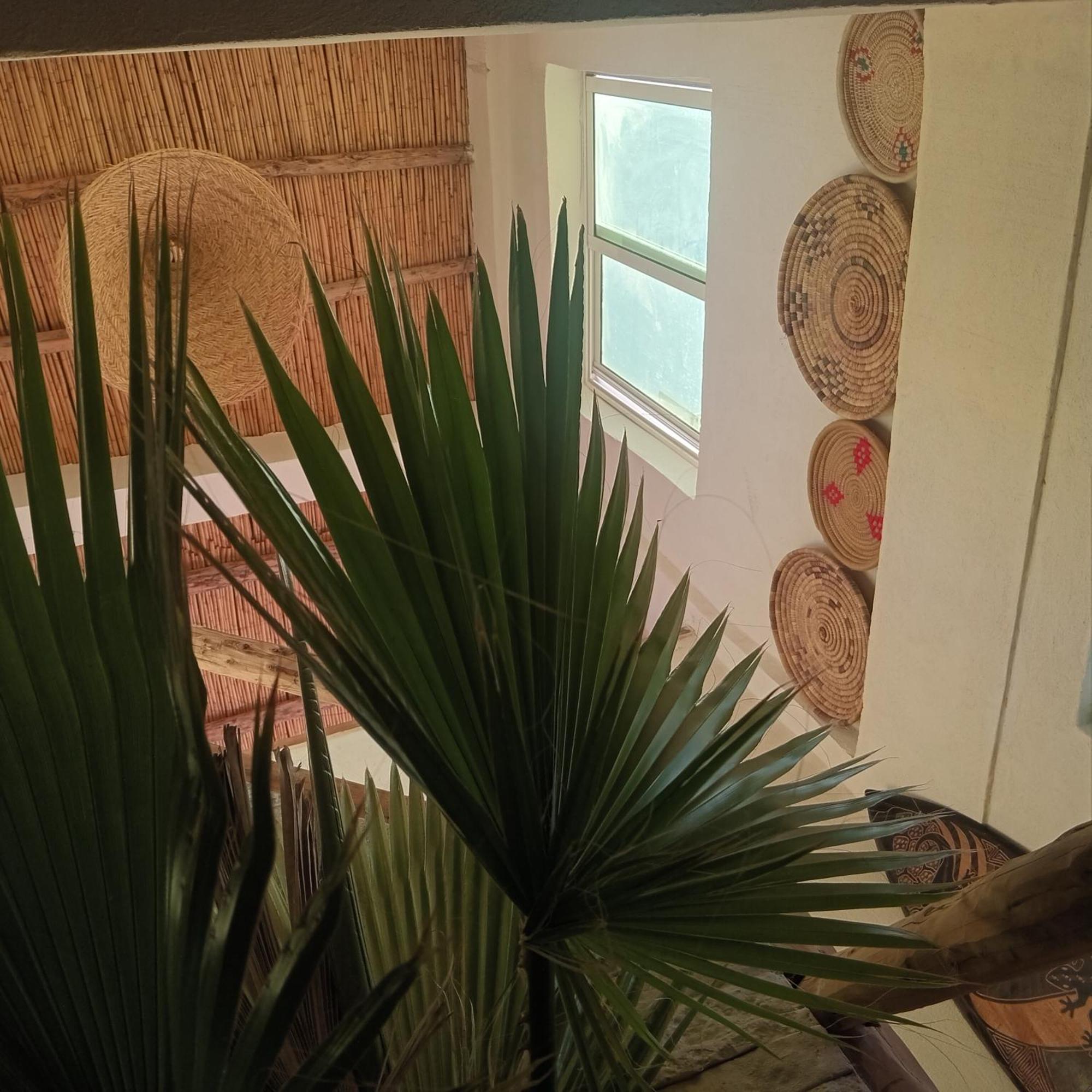 Moroccan Boho Surf House Agadir Bagian luar foto