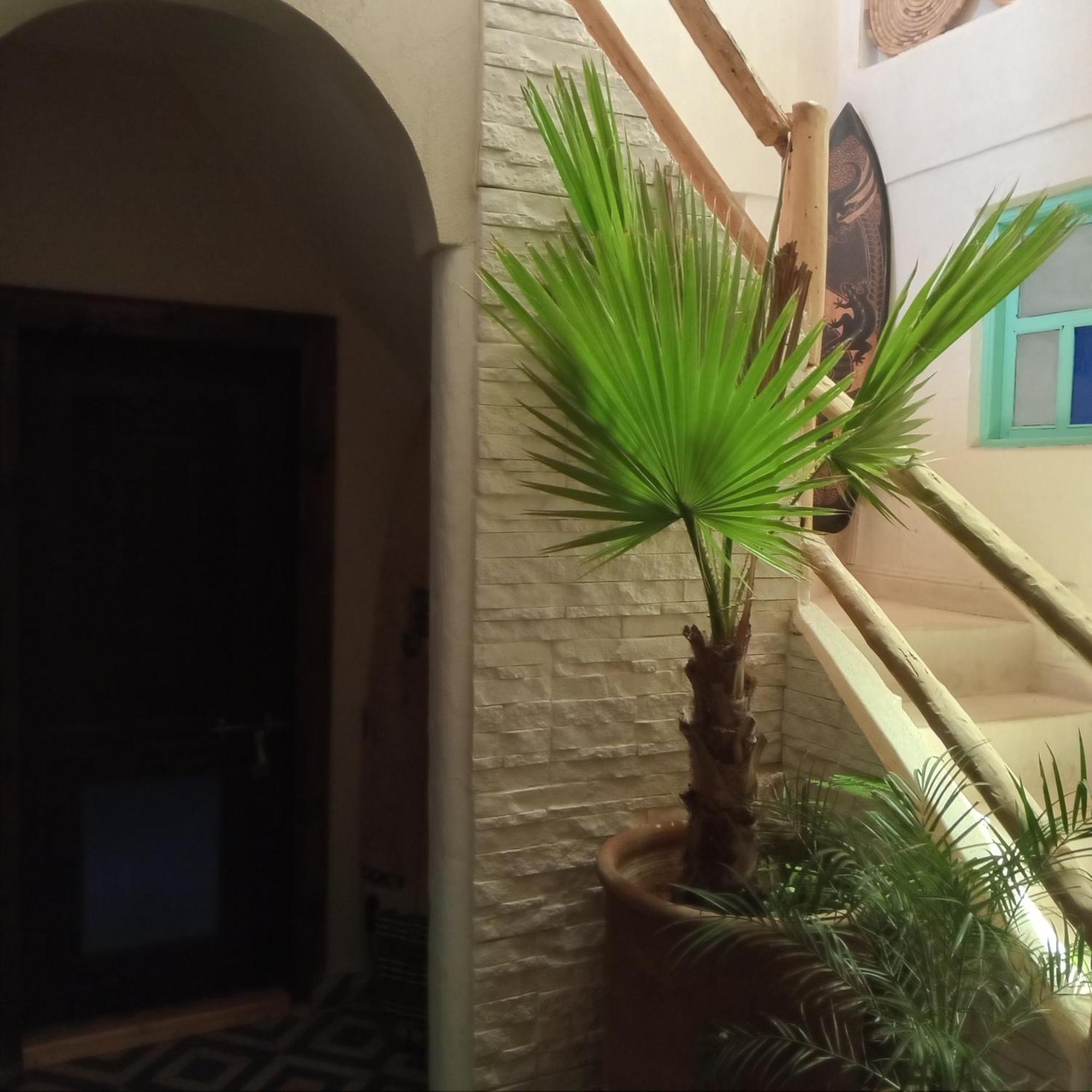 Moroccan Boho Surf House Agadir Bagian luar foto